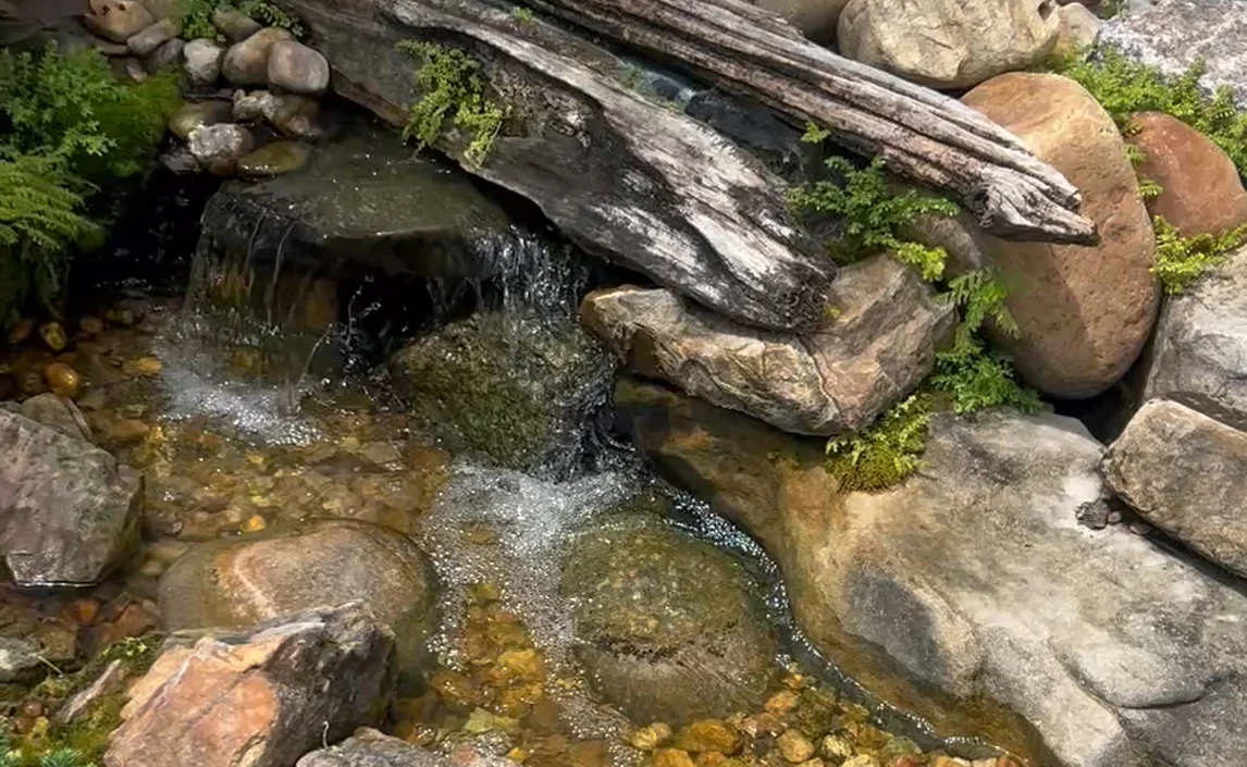 Maintenance - Donna After