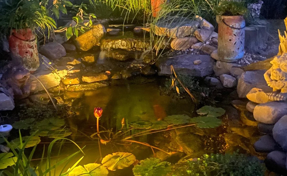 Project Gallery - Keith Pond Night