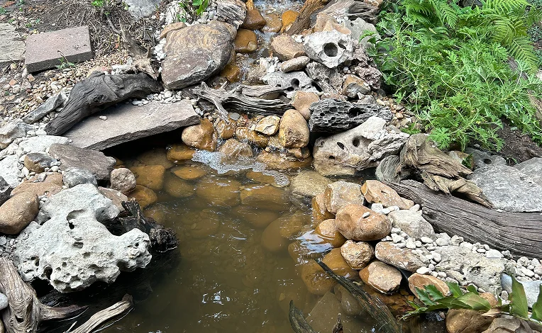 Project Gallery - Papaw Top Pond